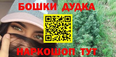 гашик Будённовск