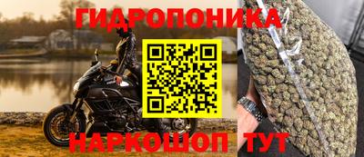 гашик Будённовск