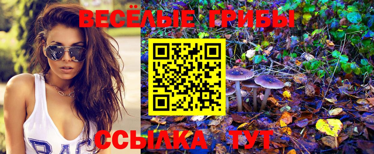 Галлюциногенные грибы Cubensis  Вход с VPN  Валуйки  Галлюциногенные грибы Cubensis 